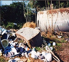 Before Development of Site