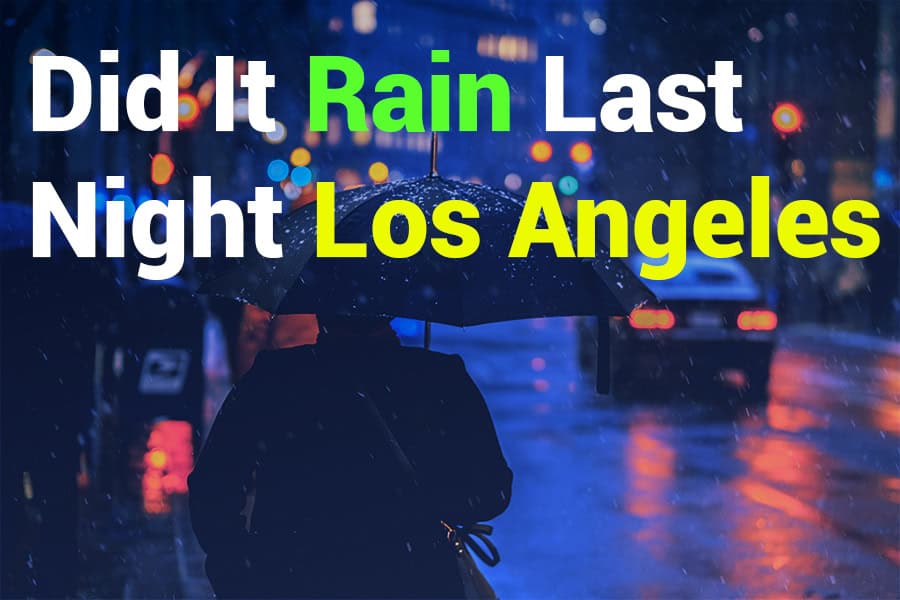 Did It Rain Last Night in Los Angeles