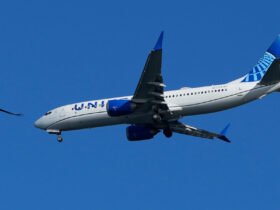 Body Found in Wheel Well of United Airlines Flight from Chicago to Maui