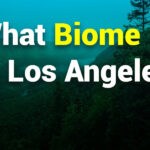 What Biome is Los Angeles