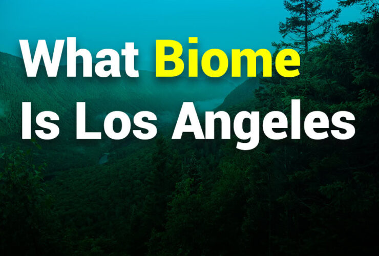 What Biome is Los Angeles