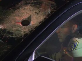 Rock-Throwing Attacks on Downtown LA Freeways Leave Motorists in Danger