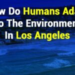 How Do Humans Adapt to the Environment in Los Angeles
