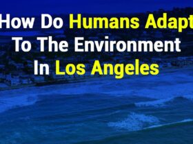 How Do Humans Adapt to the Environment in Los Angeles
