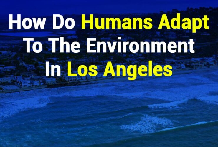 How Do Humans Adapt to the Environment in Los Angeles