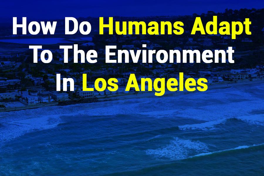 How Do Humans Adapt to the Environment in Los Angeles