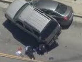 Violent One-Minute Police Chase in San Pedro Leaves Six Injured, Sparks Public Concern