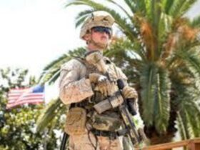 Marines Temporarily Detain Civilian in Los Angeles as Military Presence Rises Amid Immigration Protests